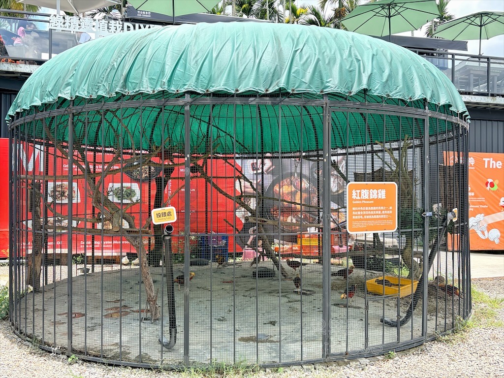 南投鹿谷親子景點｜鹿芝谷生態景觀園區：水豚、浣熊療癒系萌寵互動，山巒景色讓人感到美不勝收 @果果愛Fruitlove