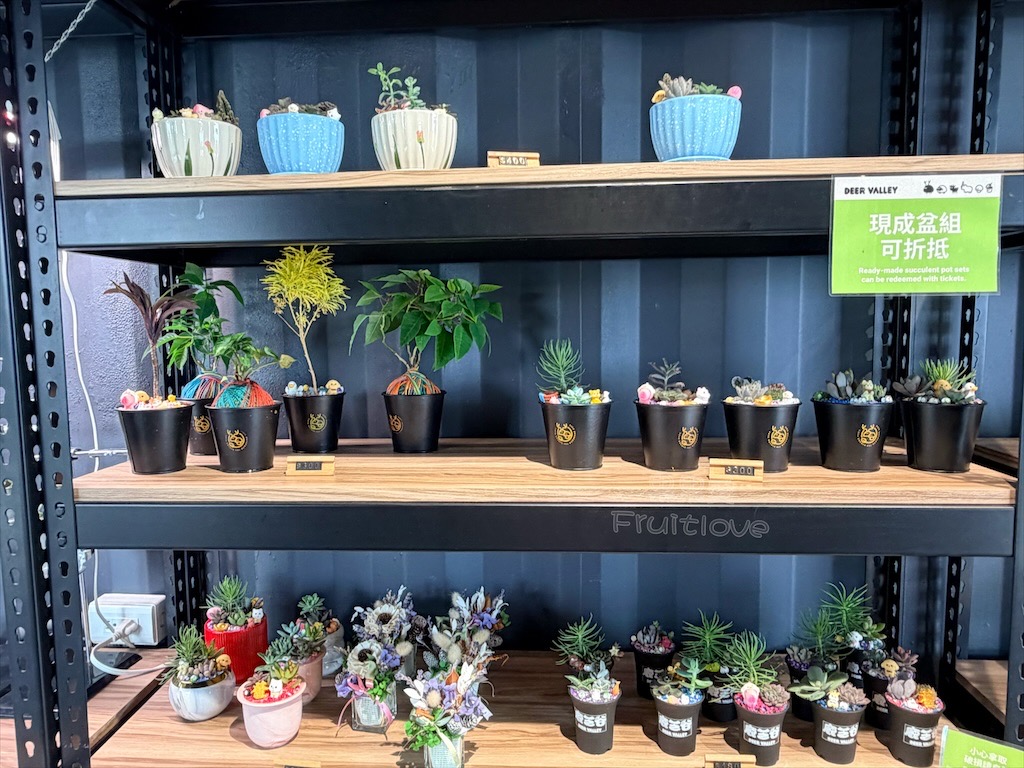 南投鹿谷親子景點｜鹿芝谷生態景觀園區：水豚、浣熊療癒系萌寵互動，山巒景色讓人感到美不勝收 @果果愛Fruitlove