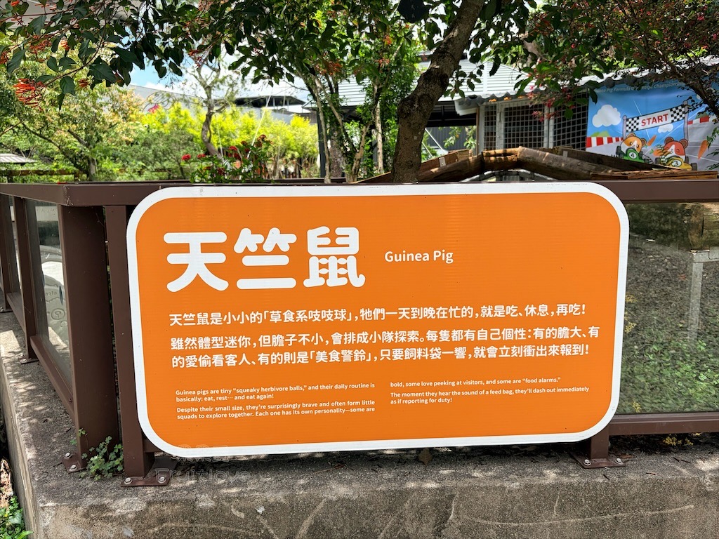 南投鹿谷親子景點｜鹿芝谷生態景觀園區：水豚、浣熊療癒系萌寵互動，山巒景色讓人感到美不勝收 @果果愛Fruitlove
