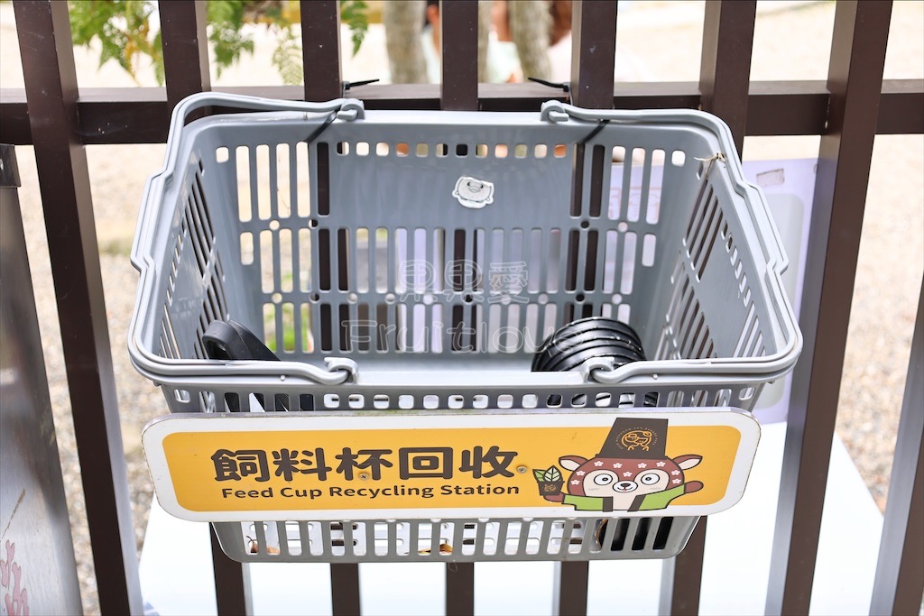 南投鹿谷親子景點｜鹿芝谷生態景觀園區：水豚、浣熊療癒系萌寵互動，山巒景色讓人感到美不勝收 @果果愛Fruitlove