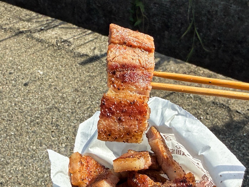 桃園觀音美食｜魷豬yaya碳烤：在地人私藏鐵皮屋炭烤香腸、必吃招牌鹹豬肉 @果果愛Fruitlove