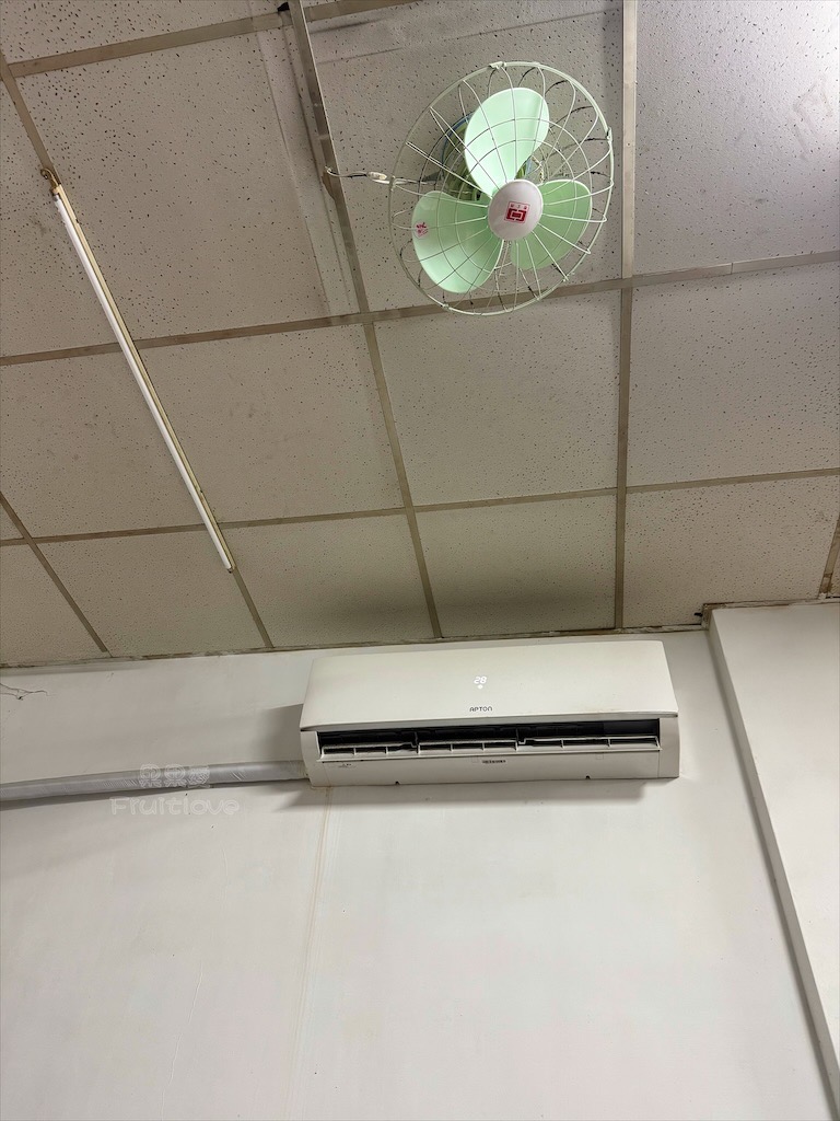 台中南區美食｜味興平價現炒：興大生私藏平價炒飯炒麵，免費冬瓜檸檬無限暢飲，萌貓陪吃 @果果愛Fruitlove