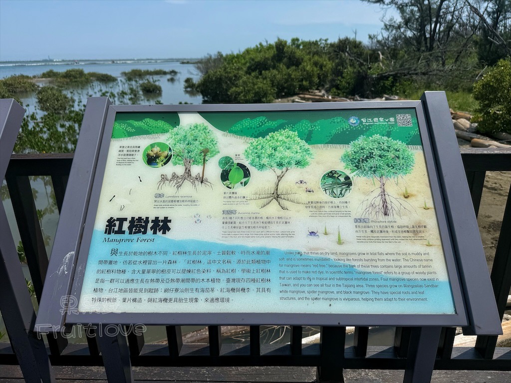 台南七股｜永順號遊潟湖：250元烤蚵不限時吃到飽，老闆不怕你吃，就怕你不吃，還有搭船遊潟湖生態導覽 @果果愛Fruitlove