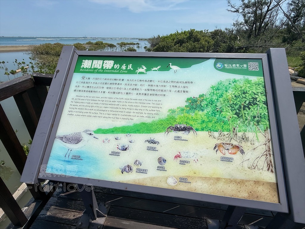 台南七股｜永順號遊潟湖：250元烤蚵不限時吃到飽，老闆不怕你吃，就怕你不吃，還有搭船遊潟湖生態導覽 @果果愛Fruitlove