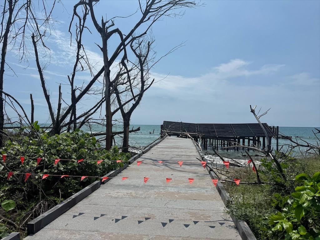 台南七股｜永順號遊潟湖：250元烤蚵不限時吃到飽，老闆不怕你吃，就怕你不吃，還有搭船遊潟湖生態導覽 @果果愛Fruitlove
