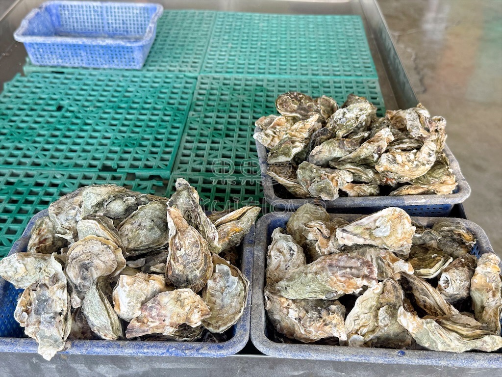 台南七股｜永順號遊潟湖：250元烤蚵不限時吃到飽，老闆不怕你吃，就怕你不吃，還有搭船遊潟湖生態導覽 @果果愛Fruitlove