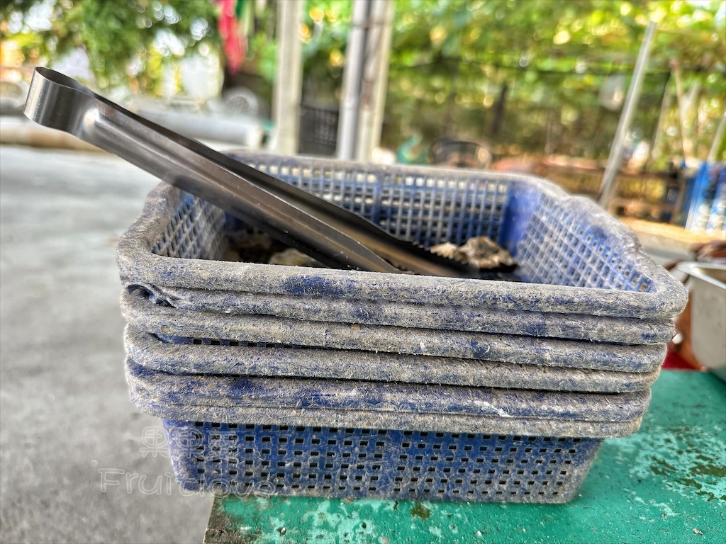 台南七股｜永順號遊潟湖：250元烤蚵不限時吃到飽，老闆不怕你吃，就怕你不吃，還有搭船遊潟湖生態導覽 @果果愛Fruitlove