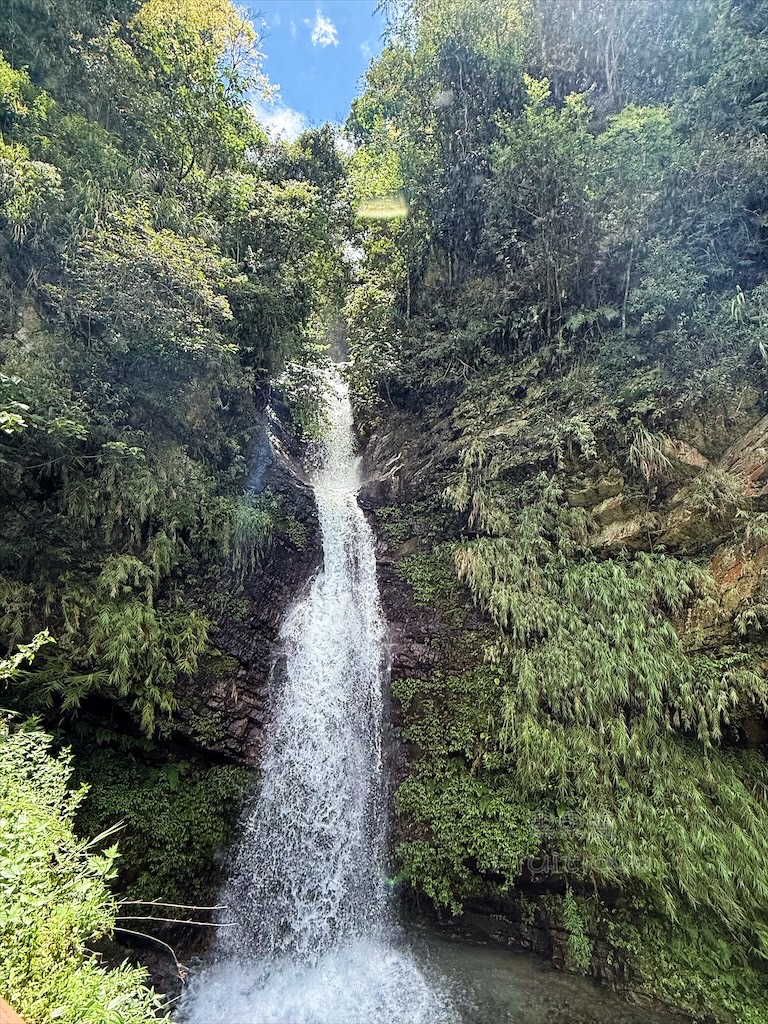 南投埔里景點｜觀音瀑布步道：免門票消暑秘境！輕鬆好走、好拍，寵物友善親子步道推薦 @果果愛Fruitlove