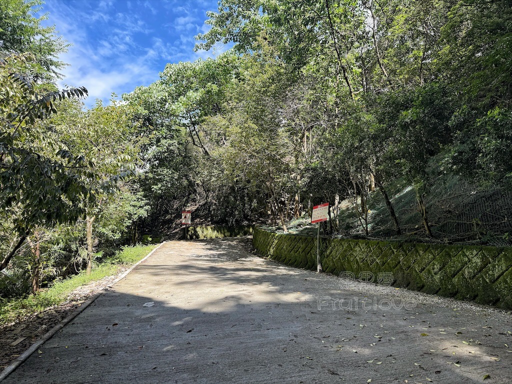 南投埔里景點｜觀音瀑布步道：免門票消暑秘境！輕鬆好走、好拍，寵物友善親子步道推薦 @果果愛Fruitlove