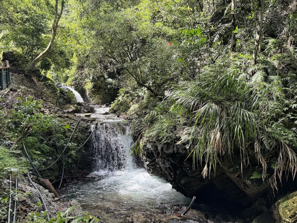 南投埔里景點｜觀音瀑布步道：免門票消暑秘境！輕鬆好走、好拍，寵物友善親子步道推薦 @果果愛Fruitlove