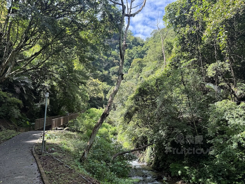 南投埔里景點｜觀音瀑布步道：免門票消暑秘境！輕鬆好走、好拍，寵物友善親子步道推薦 @果果愛Fruitlove