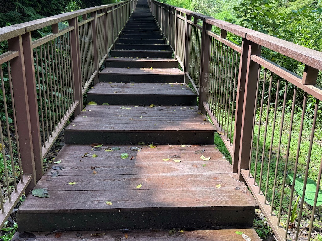 南投埔里景點｜觀音瀑布步道：免門票消暑秘境！輕鬆好走、好拍，寵物友善親子步道推薦 @果果愛Fruitlove