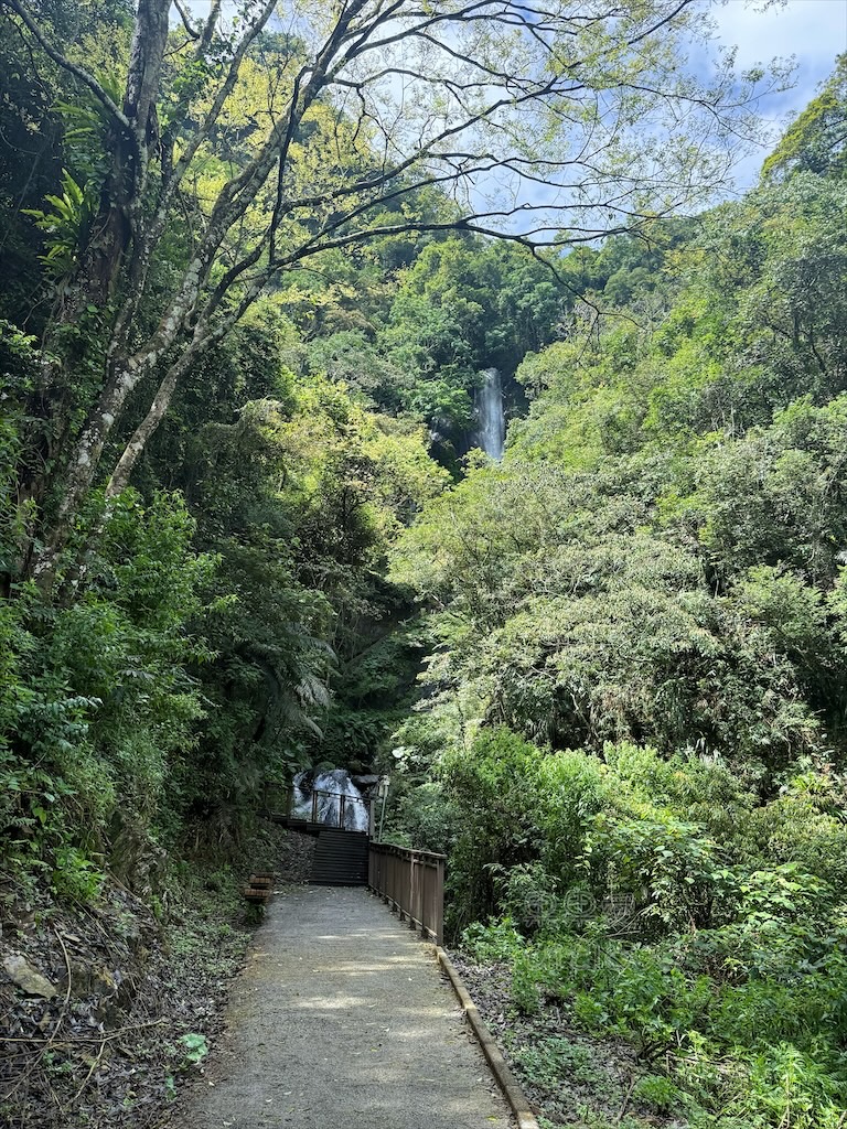 南投埔里景點｜觀音瀑布步道：免門票消暑秘境！輕鬆好走、好拍，寵物友善親子步道推薦 @果果愛Fruitlove