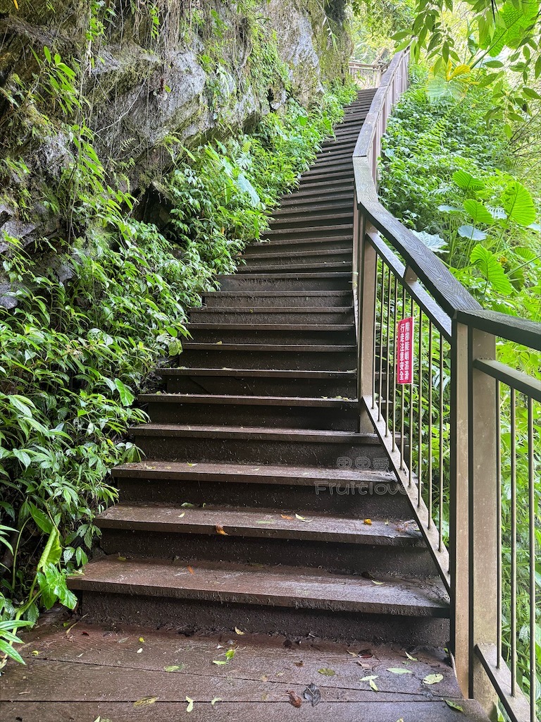 南投埔里景點｜觀音瀑布步道：免門票消暑秘境！輕鬆好走、好拍，寵物友善親子步道推薦 @果果愛Fruitlove