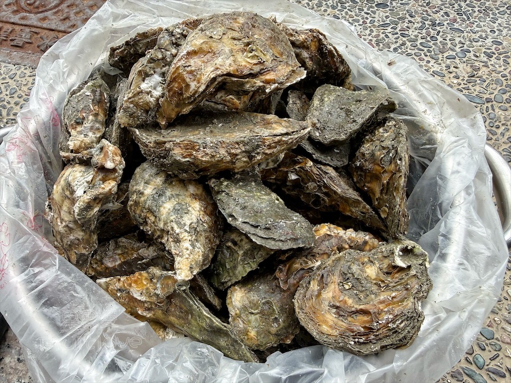 雲林台西｜杏鮮牡蠣：三代相傳自產自銷帶殼鮮蚵，新鮮肥美，價格透明，宅配服務 @果果愛Fruitlove