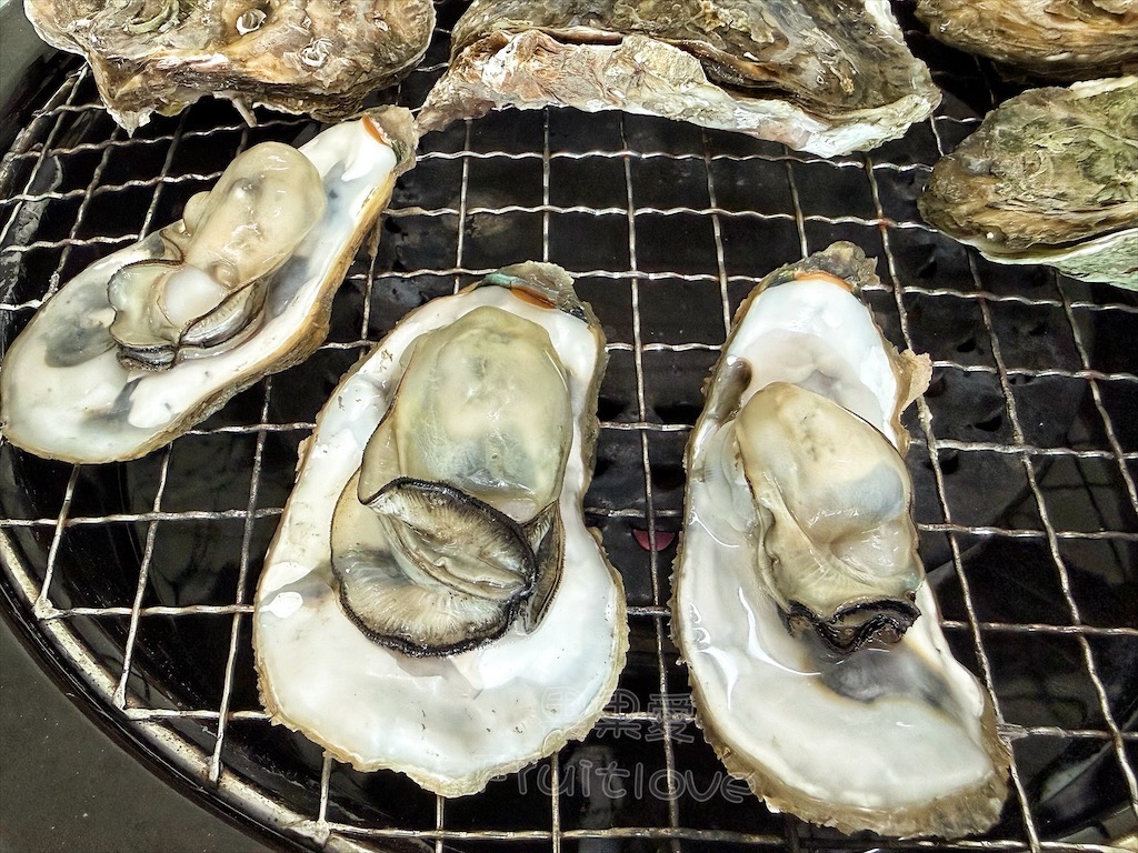 雲林台西｜杏鮮牡蠣：三代相傳自產自銷帶殼鮮蚵，新鮮肥美，價格透明，宅配服務 @果果愛Fruitlove