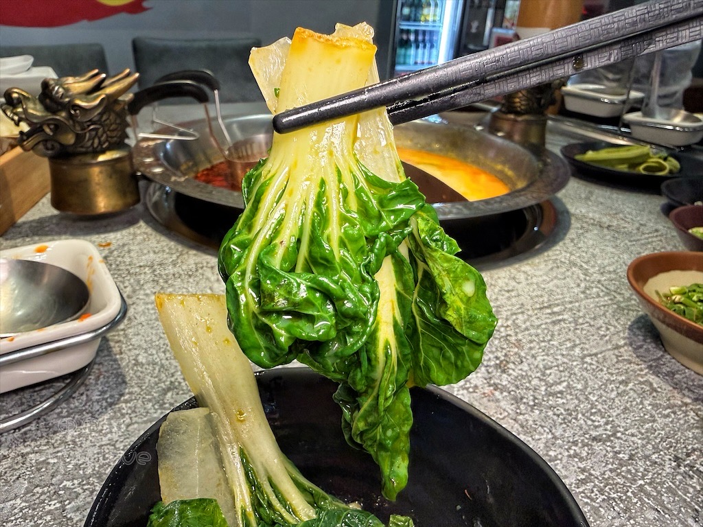 台中南屯｜蜀九品麻辣火鍋：道地四川麻辣鍋、串串香，推薦溫體牛、九宮格，寵物友善餐廳 @果果愛Fruitlove