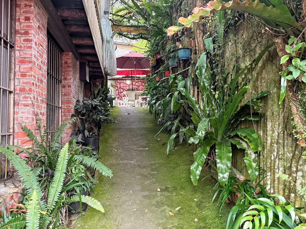 嘉義奮起湖｜愛玉伯ㄟ厝：隱身老街巷弄的愛玉店，邊吃愛玉邊欣賞山城雲霧美景 @果果愛Fruitlove