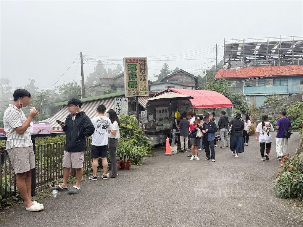 嘉義奮起湖街仔尾阿嬤草仔粿：老街必吃的古早味傳統米食，七種口味葷素皆有 @果果愛Fruitlove