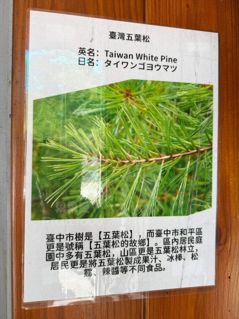 台中和平｜白冷冰棒：谷關必吃的古早味冰棒，獨家蜂蜜五葉松口味更不能錯過 @果果愛Fruitlove
