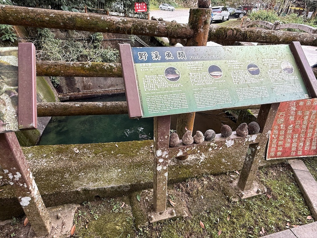 雲林古坑景點|石壁九芎公廟:300年九芎神木下吃泡麵!雲林版泡麵土地公,順遊五元兩角、雲嶺之丘 @果果愛Fruitlove 雲林古坑景點|石壁九芎公廟:300年九芎神木下吃泡麵!雲林版泡麵土地公,順遊五元兩角、雲嶺之丘 @果果愛Fruitlove