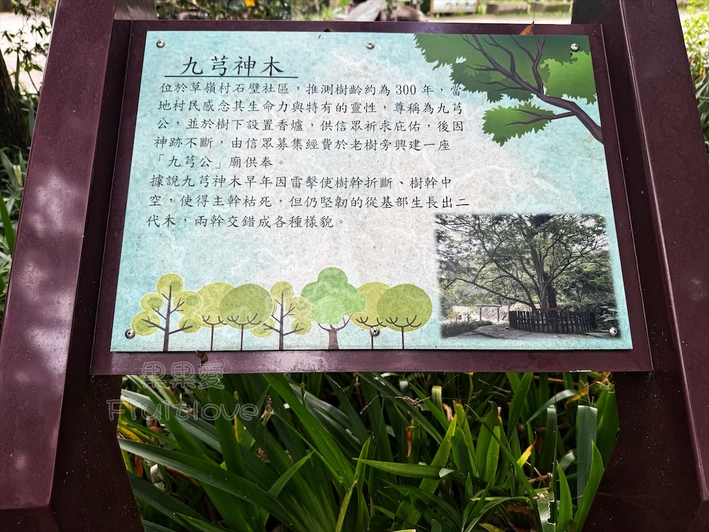 雲林古坑景點｜石壁九芎公廟：300年九芎神木下吃泡麵！雲林版泡麵土地公，順遊五元兩角、雲嶺之丘 @果果愛Fruitlove