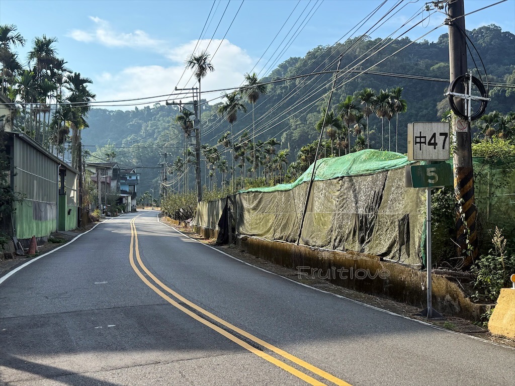 台中東勢｜爸娜娜窯烤披薩：預約包場手作窯烤披薩DIY、滑草場與山景大草皮，親子寵物友善農場推薦！ @果果愛Fruitlove