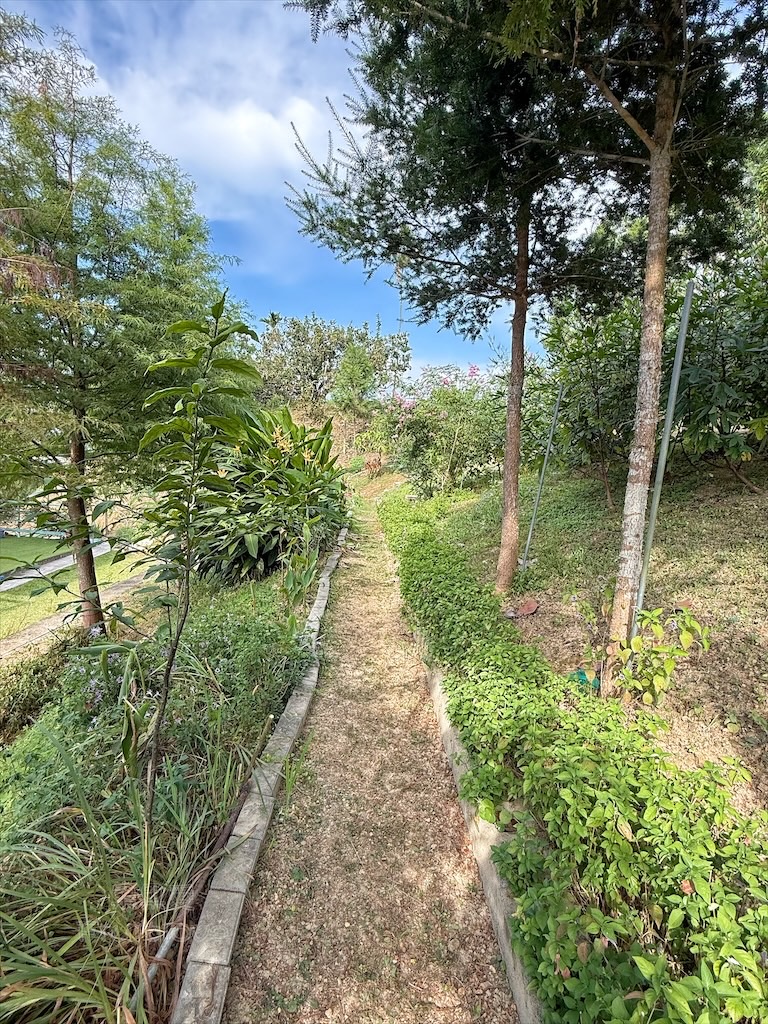 台中東勢｜爸娜娜窯烤披薩：預約包場手作窯烤披薩DIY、滑草場與山景大草皮，親子寵物友善農場推薦！ @果果愛Fruitlove