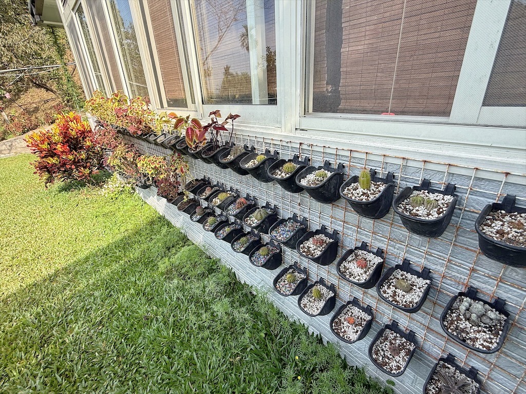 台中東勢｜爸娜娜窯烤披薩：預約包場手作窯烤披薩DIY、滑草場與山景大草皮，親子寵物友善農場推薦！ @果果愛Fruitlove