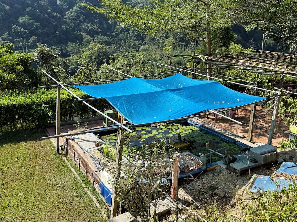台中東勢｜爸娜娜窯烤披薩：預約包場手作窯烤披薩DIY、滑草場與山景大草皮，親子寵物友善農場推薦！ @果果愛Fruitlove
