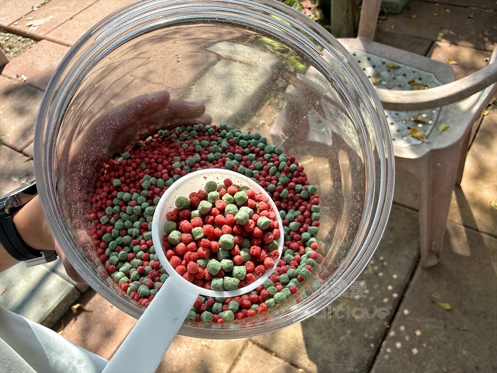台中東勢｜爸娜娜窯烤披薩：預約包場手作窯烤披薩DIY、滑草場與山景大草皮，親子寵物友善農場推薦！ @果果愛Fruitlove