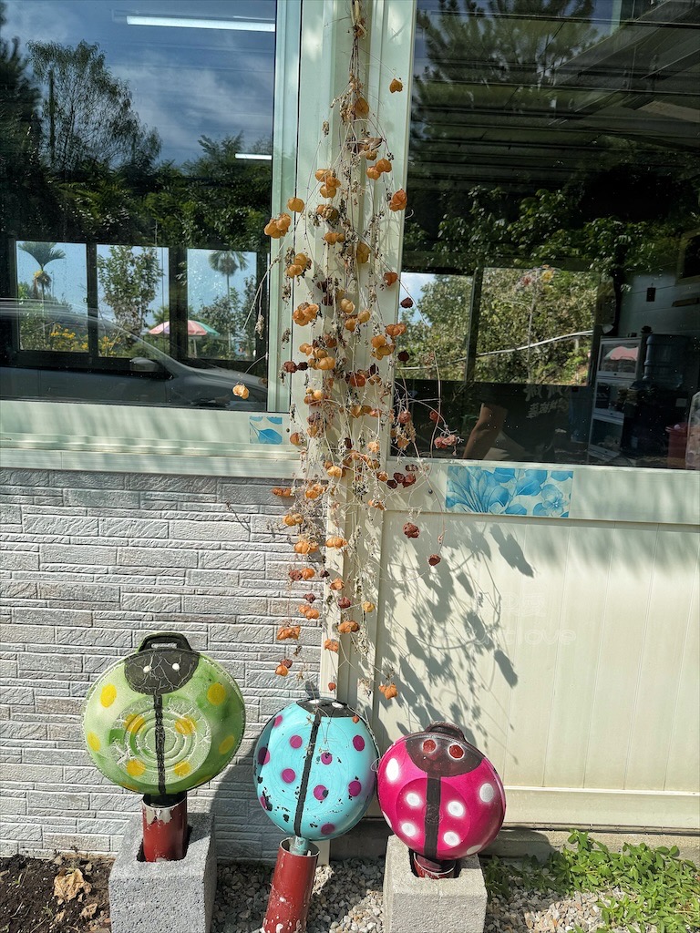 台中東勢｜爸娜娜窯烤披薩：預約包場手作窯烤披薩DIY、滑草場與山景大草皮，親子寵物友善農場推薦！ @果果愛Fruitlove