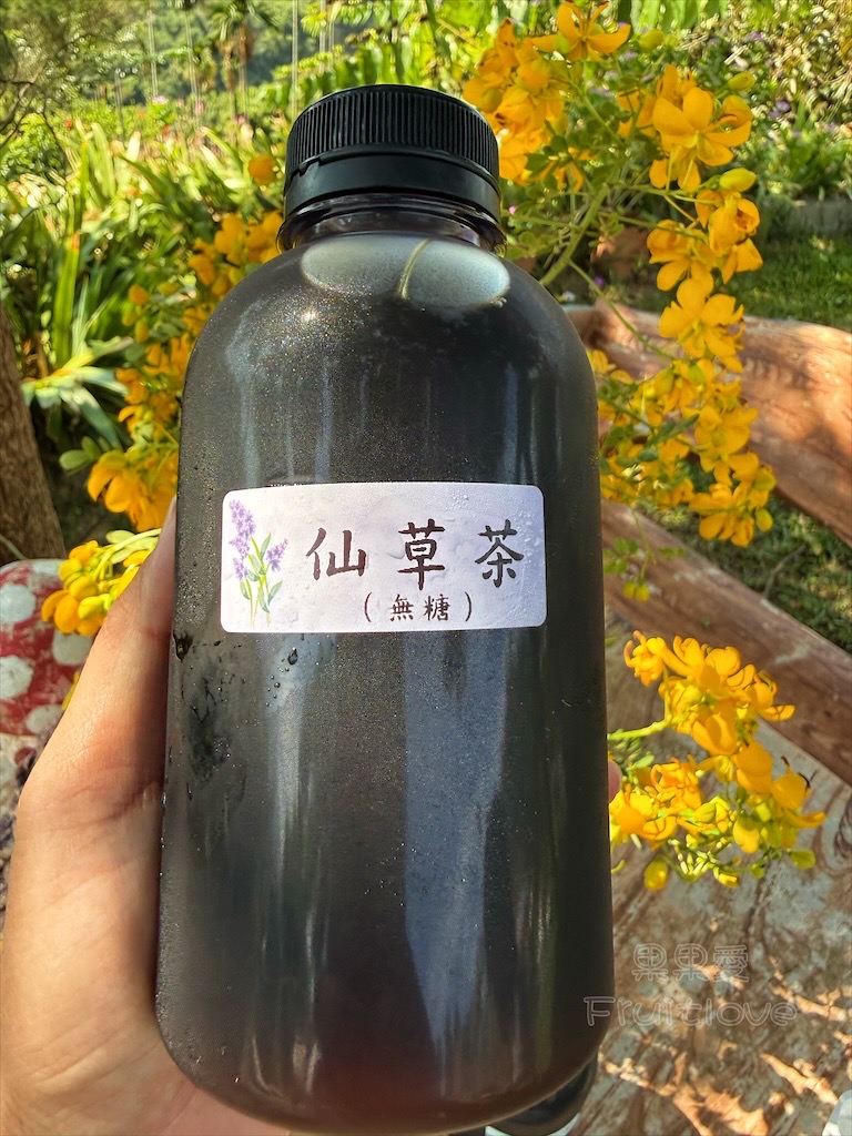 台中東勢｜爸娜娜窯烤披薩：預約包場手作窯烤披薩DIY、滑草場與山景大草皮，親子寵物友善農場推薦！ @果果愛Fruitlove