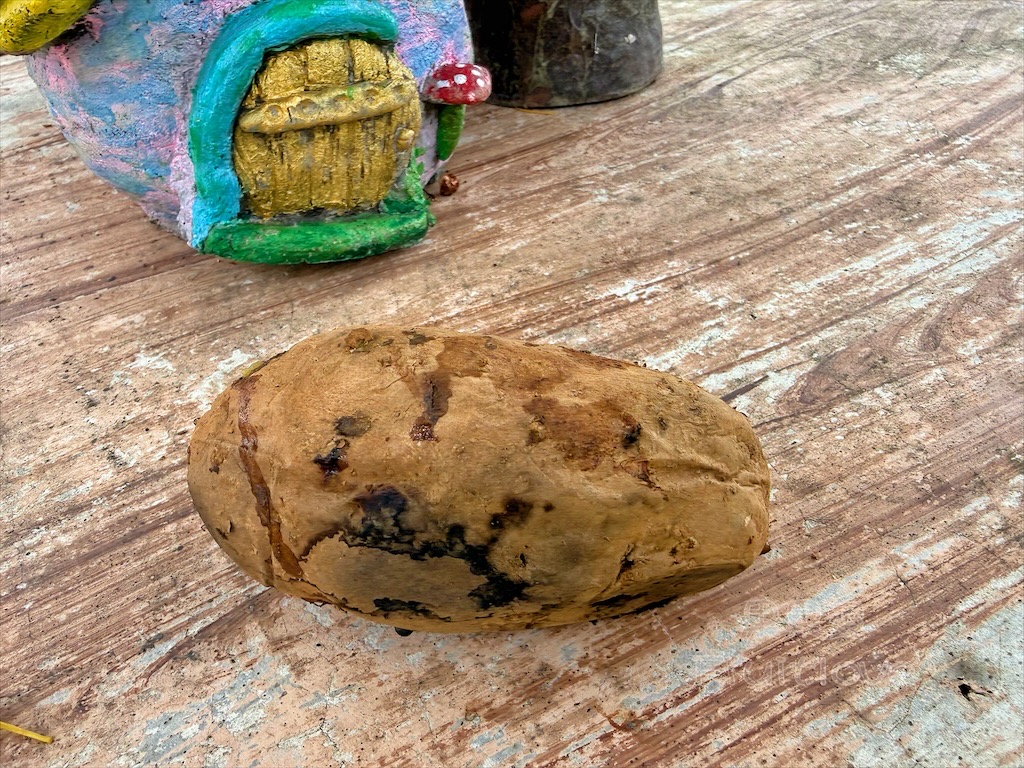 台中東勢｜爸娜娜窯烤披薩：預約包場手作窯烤披薩DIY、滑草場與山景大草皮，親子寵物友善農場推薦！ @果果愛Fruitlove