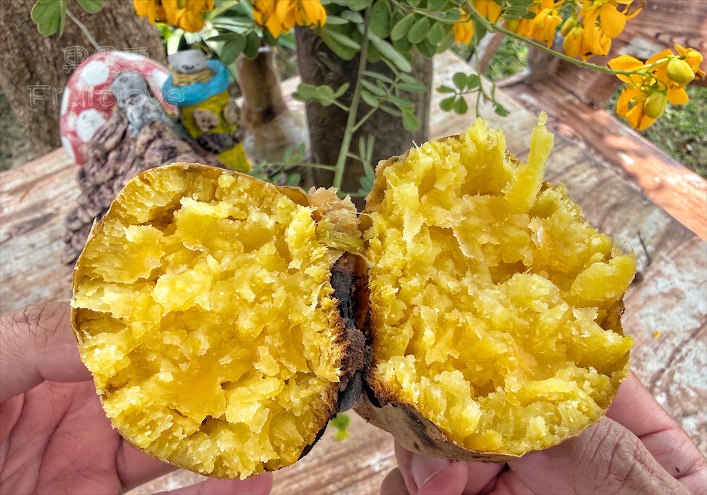 台中東勢｜爸娜娜窯烤披薩：預約包場手作窯烤披薩DIY、滑草場與山景大草皮，親子寵物友善農場推薦！ @果果愛Fruitlove