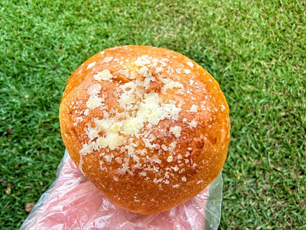 台中東勢｜爸娜娜窯烤披薩：預約包場手作窯烤披薩DIY、滑草場與山景大草皮，親子寵物友善農場推薦！ @果果愛Fruitlove