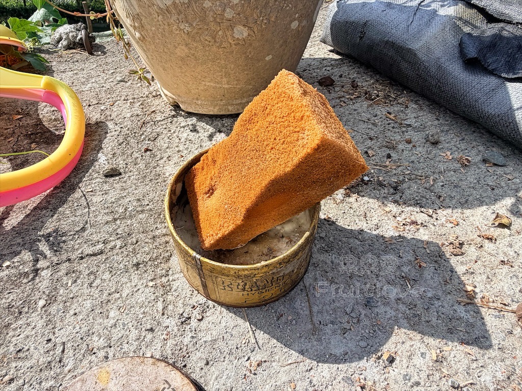 台中東勢｜爸娜娜窯烤披薩：預約包場手作窯烤披薩DIY、滑草場與山景大草皮，親子寵物友善農場推薦！ @果果愛Fruitlove