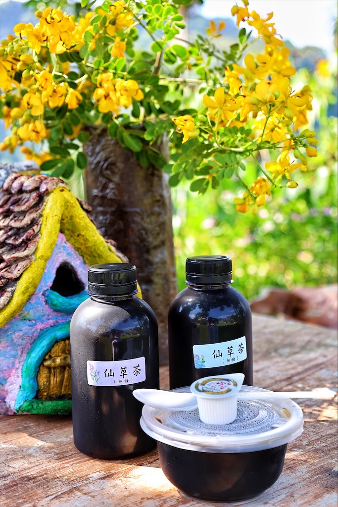 台中東勢｜爸娜娜窯烤披薩：預約包場手作窯烤披薩DIY、滑草場與山景大草皮，親子寵物友善農場推薦！ @果果愛Fruitlove