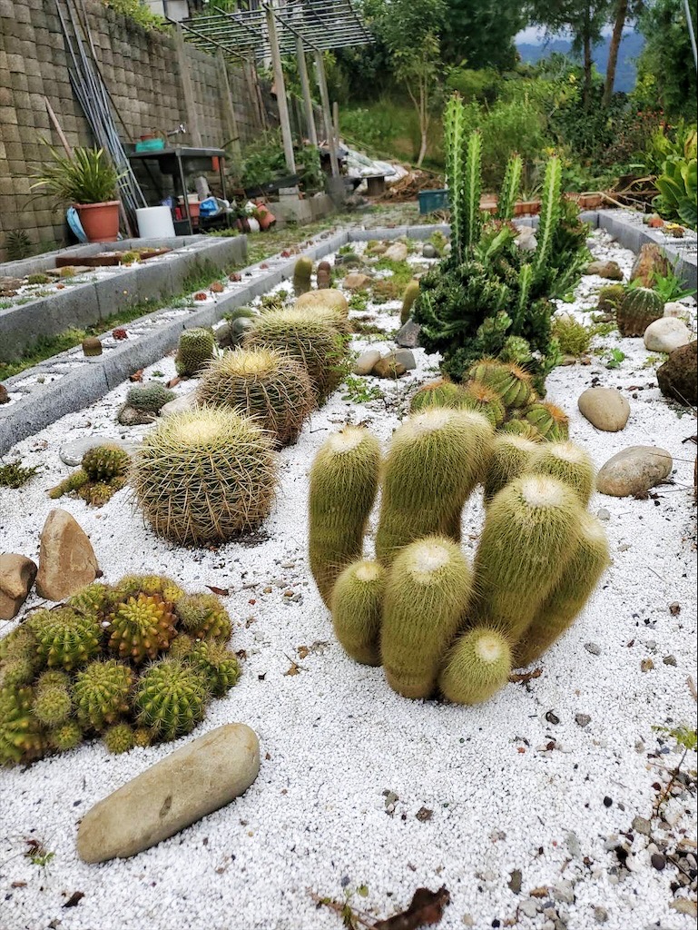 台中東勢｜爸娜娜窯烤披薩：預約包場手作窯烤披薩DIY、滑草場與山景大草皮，親子寵物友善農場推薦！ @果果愛Fruitlove