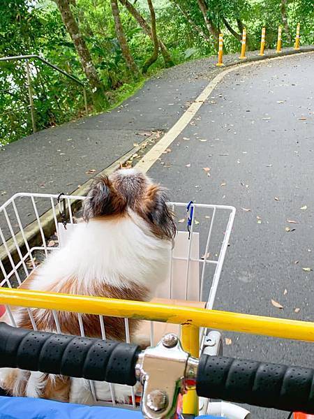 天ㄟ露營車⟩梅花湖景第一排，多種飲品無限續杯，宜蘭寵物友善民宿 @果果愛Fruitlove