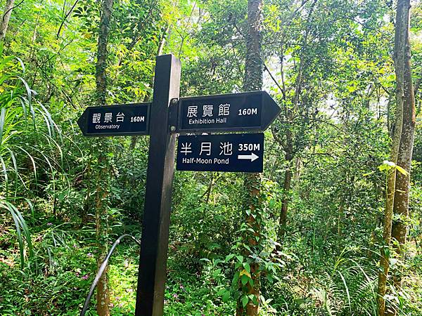 隨風飄落的桐花，美得像是一幅畫，台灣客家文化館賞桐看地景藝術 @果果愛Fruitlove