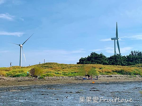 跟著果果愛一起到香山濕地附近秘境挖蛤蜊～ 海山探索區  親子寵物友善 @果果愛Fruitlove