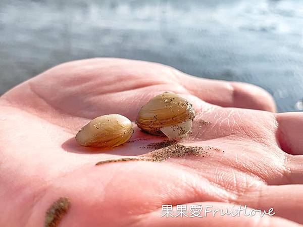 就是愛海邊懶人包⟩帶著人孩、毛孩一起去海邊踏浪、戲沙、玩水、看螃蟹、夕陽 @果果愛Fruitlove