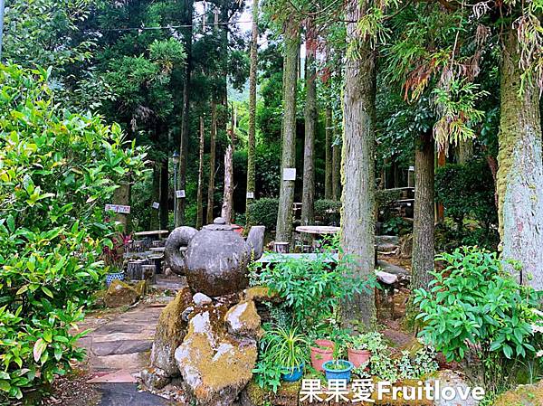 竹湖土雞城⟩在竹林里用餐，涼爽又舒服，陽明山竹仔湖美食推薦，寵物友善餐廳 @果果愛Fruitlove