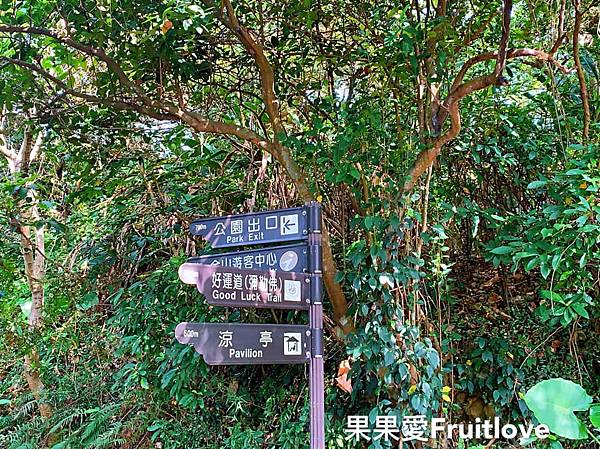 眺望燭臺雙嶼的輕鬆步道　獅頭山公園　輕鬆享受芬多精與美景　免費停車　可推車　親子寵物友善　　北海岸旅遊　近金山老街　中角灣 @果果愛Fruitlove