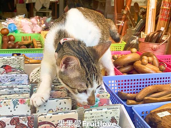 烏來老街⟩吃美食、搭台車、看瀑布、搭纜車，舒服又放鬆，親子寵物友善　烏來溫泉 @果果愛Fruitlove