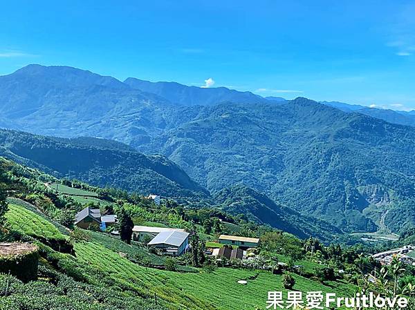 帶著毛孩一起到奮起湖　感受芬多精與舒服的空氣　賞美景　吃美食　寵物友善　不限大小　不用關籠　不用關袋 @果果愛Fruitlove