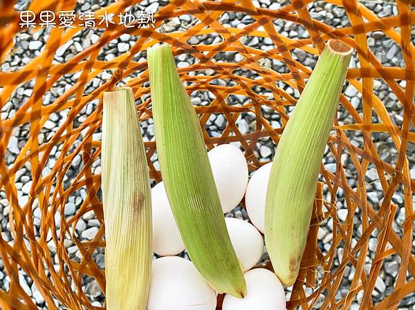 秋冬就想去的　清水地熱公園　現煮食材獨特的香氣與美味讓人難忘　再到天送埤車站搭乘小火車　悠遊在鐵道與田野旁　親子寵物友善　　清水地熱上集 @果果愛Fruitlove