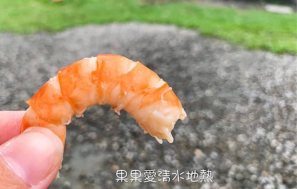 秋冬就想去的　清水地熱公園　現煮食材獨特的香氣與美味讓人難忘　再到天送埤車站搭乘小火車　悠遊在鐵道與田野旁　親子寵物友善　　清水地熱上集 @果果愛Fruitlove