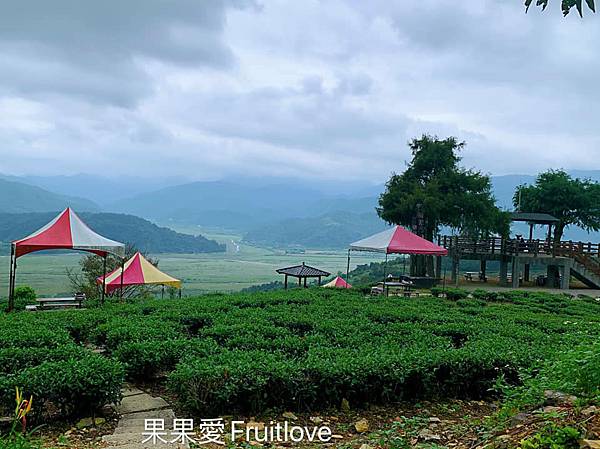 置身在茶園裡泡茶，觀景，愜意又美好　玉蘭茶園　　平價舒適的寵物友善民宿希伯崙客旅　與三星在地美食　大埔早餐　與黑人肉羹　滿足味蕾　親子寵物友善  不限大小 不用關籠 關袋 最少牽繩即可 　清水地熱下集 @果果愛Fruitlove